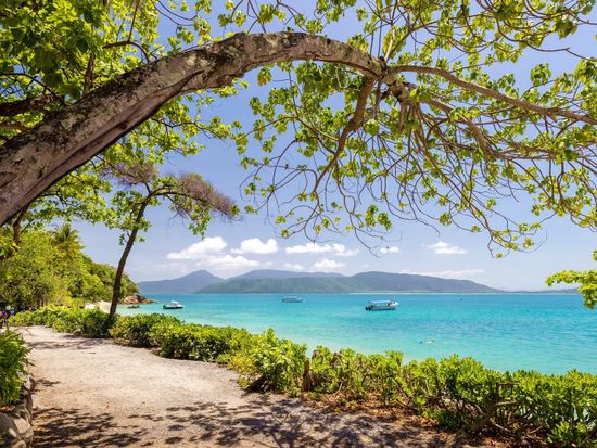 welcome-bay-fitzroy-island-2