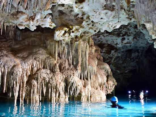 【即予約確定】リオ・セクレト自然保護区*入場チケット事前予約＜現地集合・解散＞
