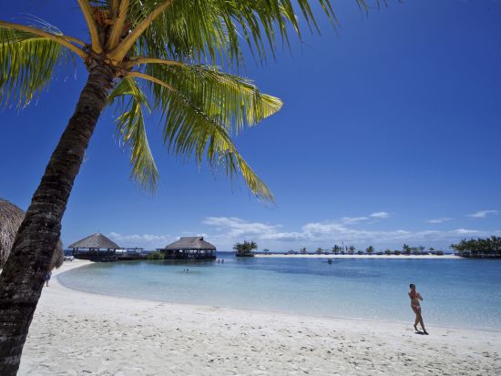 ブルーウォーター・マリバゴ・ビーチリゾート デイユース事前予約 送迎付きプランあり＜ナイトユース可／昼食ビュッフェ付き／マクタン島＞