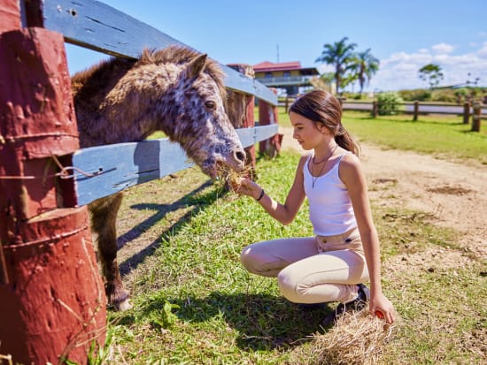 クア カウ バーンウェル ファーム（KUR-Cow BARNWELL FARM）乗馬体験＋ふれあい動物園　ATVなど選べるプラン！送迎の選択も可能＜ケアンズ＞