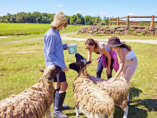 クア カウ バーンウェル ファーム（KUR-Cow BARNWELL FARM）乗馬体験＋ふれあい動物園　ATVなど選べるプラン！送迎の選択も可能＜ケアンズ＞