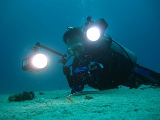 PADIアドバンスオープンウォーターライセンス取得講習 カードランクとダイビングスキルをＵＰさせてダイビングの幅を広げよう＜那覇市内送迎付き／2日間／那覇＞