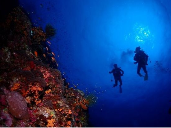 PADIアドバンスオープンウォーターライセンス取得講習 カードランクとダイビングスキルをＵＰさせてダイビングの幅を広げよう＜那覇市内送迎付き／2日間／那覇＞