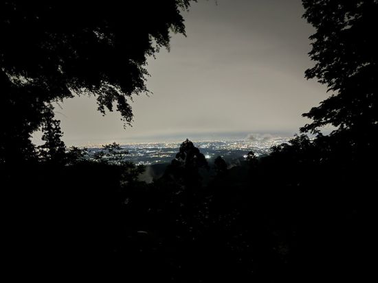 【東京 高尾山】ムササビナイトハイク 野生動物と触れ合う夜の冒険！写真撮影付き 子供のみの参加OK＜約3時間／最大8名／英語ガイドあり＞