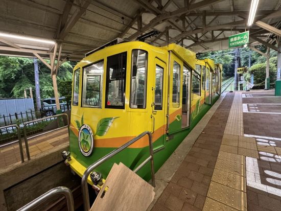 【東京 高尾山】ムササビナイトハイク 野生動物と触れ合う夜の冒険！写真撮影付き 子供のみの参加OK＜約3時間／最大8名／英語ガイドあり＞