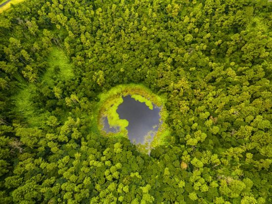【プライベートツアー】七色の大地シャマレルとモーリシャス南部観光ツアー＜英語ガイド／ホテル発＞