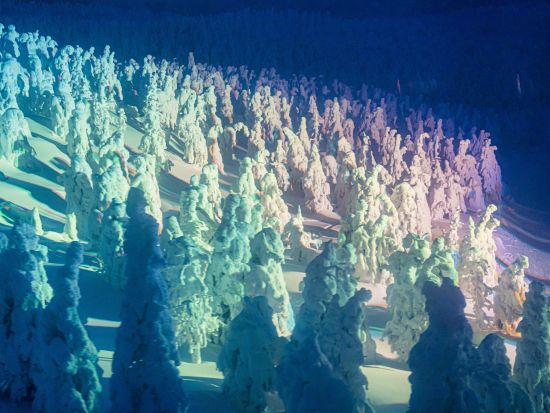 貸切観光タクシー 山形市内・上山市内発着　蔵王樹氷鑑賞コース＜12～3月／2時間～2時間半＞