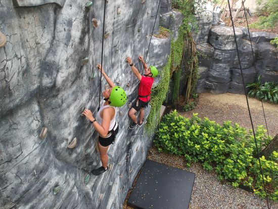 Wall Climing