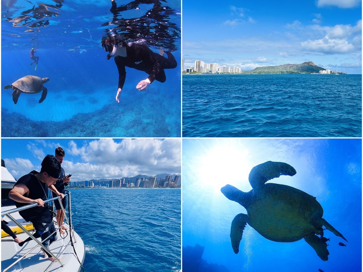 ウミガメシュノーケリング 少人数制＆日本語インストラクターが