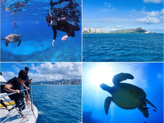 ウミガメシュノーケリング　少人数制＆日本語インストラクターがサポートで安心！水中写真付き　ワイキキ送迎可＜3時間／ケワロ港発＞by アロハナダイバーズ