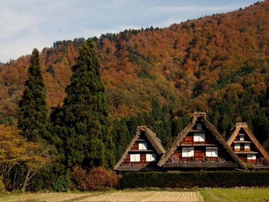 shirakawa-go_autumn