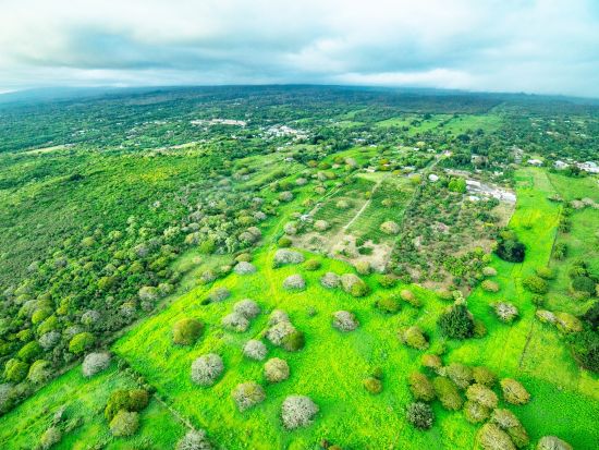 コナコースト　ヘリコプター遊覧 ＜フライト30～60分／英語パイロット＞