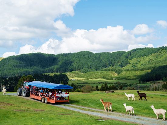 Agrodome2023_imagery-23