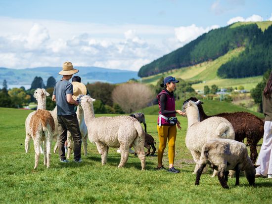 Agrodome2023_imagery-24