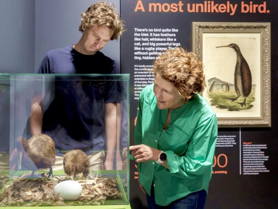 ナショナル キウイ ハッチェリー（National Kiwi Hatchery）見学ツアー　ニュージランドの国鳥キウイを専門家がご紹介！＜英語／ロトルア＞