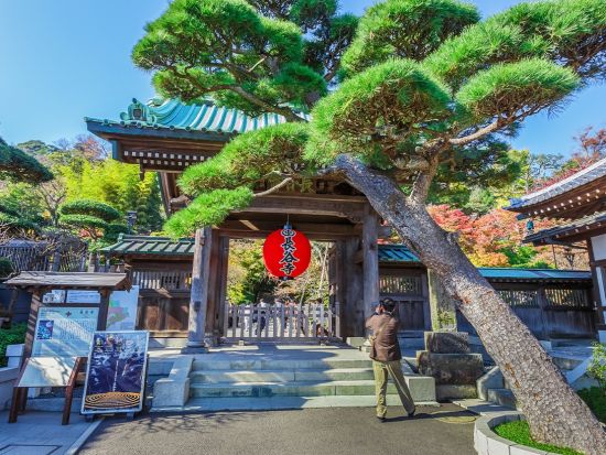 東京発日帰りバスツアー　鎌倉大仏＋鶴岡八幡宮＋江ノ島　東京の喧騒を離れ鎌倉への日帰り旅行で歴史、文化、山、海が共存する魅力を体験するコース＜東京・新宿発着＞