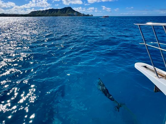 26F9D314-F60C-4380-A60F-A8EF2D186563