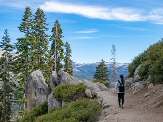 Yosemite Escape Camping Tour (3 Days) 4