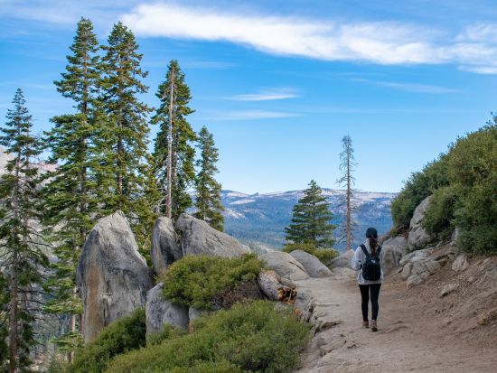 世界遺産ヨセミテ国立公園 2泊3日ツアー　ヨセミテ・シダーロッジ宿泊 ＜5～10月／英語ガイド＞