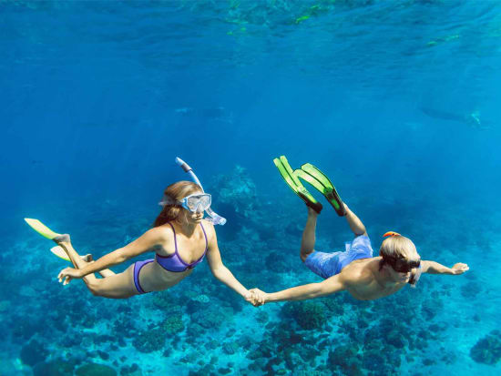 waikiki snorkeling catamaran