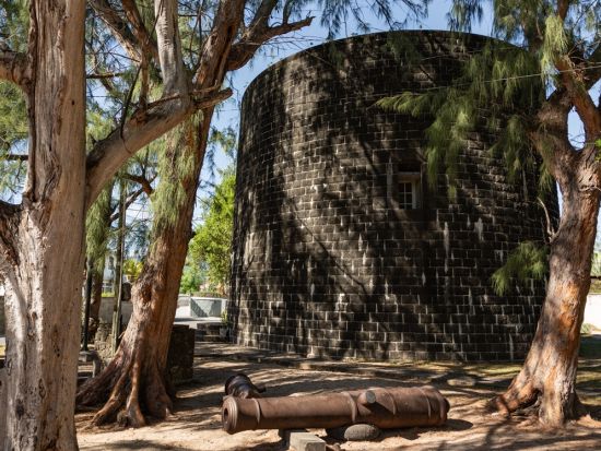 【プライベートツアー】美しいビーチと歴史を語る「世界遺産ル・モーン山」・モーリシャス島内1日観光ツアー＜英語ガイド／ホテル発＞