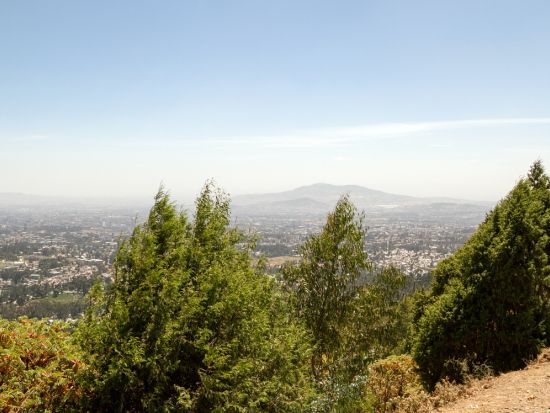 アムハラ語で「新しい花」を意味する首都アディスアベバを周る！半日観光ツアー＜空港or市内発着／英語ガイド／混載＞