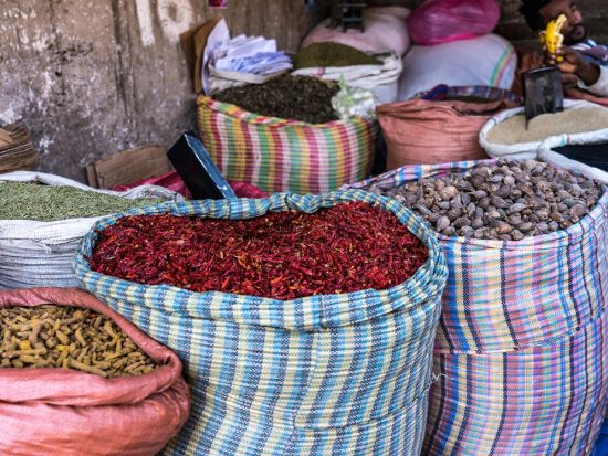 アムハラ語で「新しい花」を意味する首都アディスアベバを周る！半日観光ツアー＜空港or市内発着／英語ガイド／混載＞