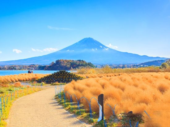 東京発日帰りバスツアー　富士山五合目（または新倉山浅間公園）＋河口湖＋山中湖＋温泉 富士山周辺の静寂な風景を満喫するコース＜東京・新宿発着＞