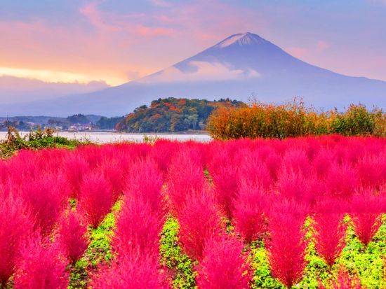 東京発日帰りバスツアー　富士山五合目（または新倉山浅間公園）＋河口湖＋山中湖＋温泉 富士山周辺の静寂な風景を満喫するコース＜東京・新宿発着＞