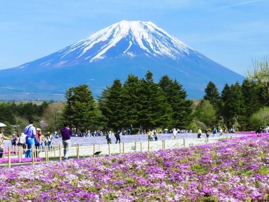 東京発日帰りバスツアー　富士山五合目（または新倉山浅間公園）＋河口湖＋山中湖＋温泉 富士山周辺の静寂な風景を満喫するコース＜東京・新宿発着＞