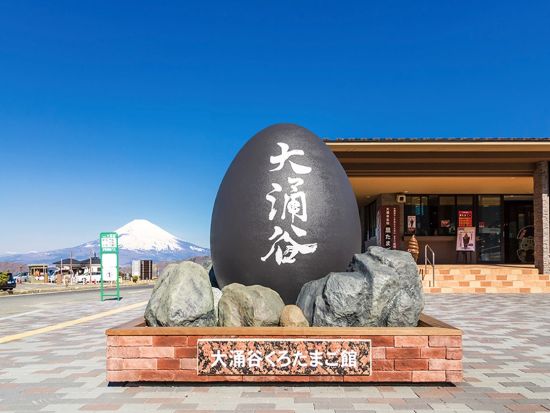 東京発日帰りバスツアー　富士山＆箱根ロープウェイ・芦ノ湖クルーズ！大涌谷の迫力と絶景を満喫＜中国語、英語、日本語対応のガイド同行＞