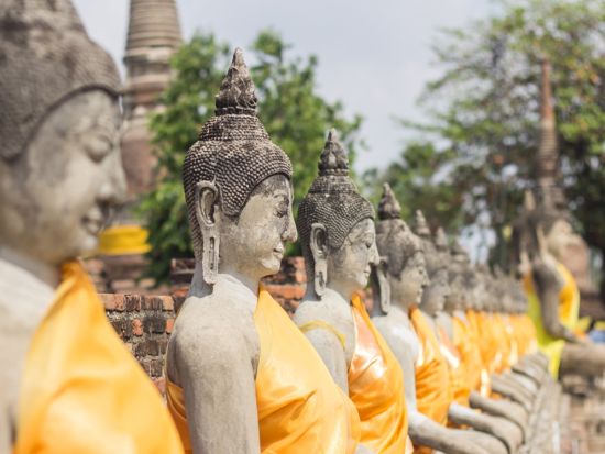 午後ゆったり出発！アユタヤ3大遺跡＋象乗りor象が遊びに来るカフェ半日観光ツアー　タイ料理の夕食付プランあり＜当日予約OK／日本語ガイド＞