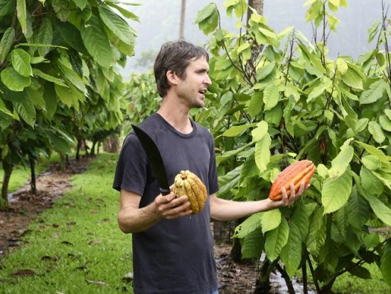 ハワイ島　カカオ農園見学ツアー　最大10種類のチョコレートやトロピカルフルーツ、カカオの実などの試食付き！＜午前／半日／英語ガイド＞