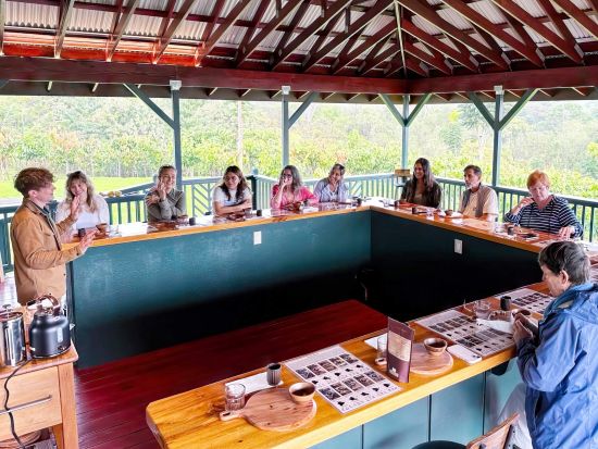 ハワイ島　カカオ農園見学ツアー　最大10種類のチョコレートやトロピカルフルーツ、カカオの実などの試食付き！＜午前／半日／英語ガイド＞