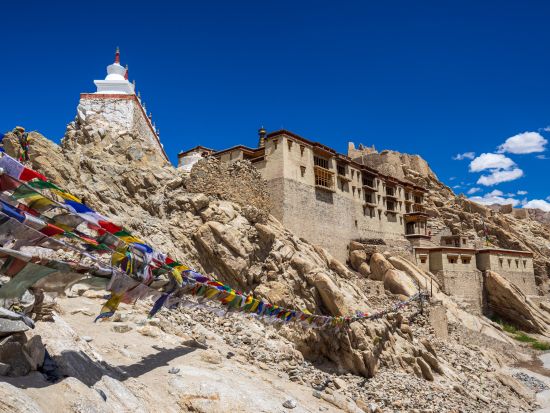 インド・ラダック地方周遊 6泊7日観光ツアー レー近郊＋ヌブラ渓谷＋パンゴン・ツォ ＜貸切／日本語ガイド／宿泊＆食事付き／デリー空港発着＞