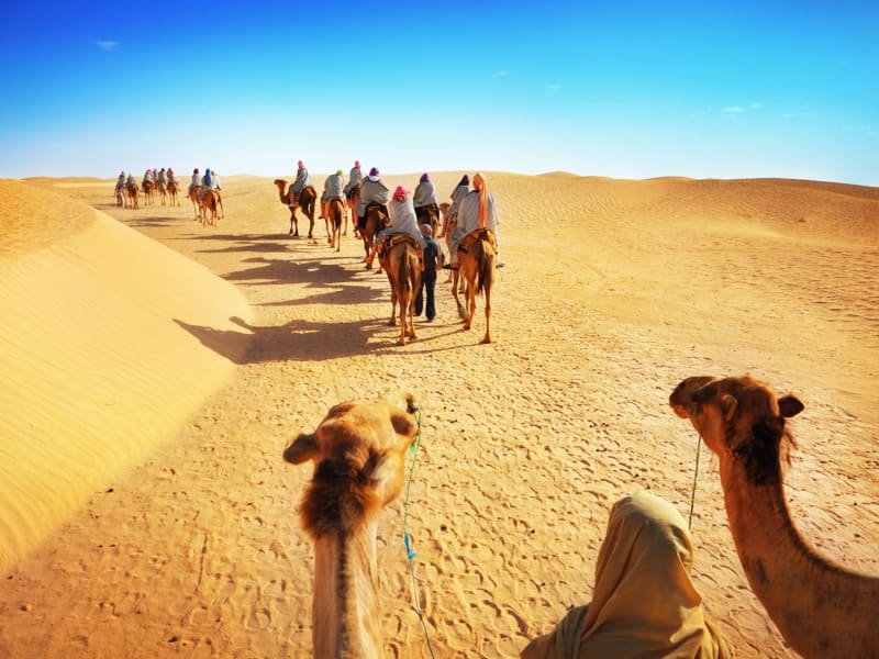 UAE_Dubai_desert_camel_ride_shutterstock_95568901