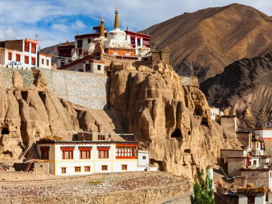 インド・ラダック地方周遊 7泊8日観光ツアー レー近郊＋ヌブラ渓谷＋パンゴン・ツォ ＜貸切／日本語ガイド／宿泊＆食事付き／デリー空港発着＞