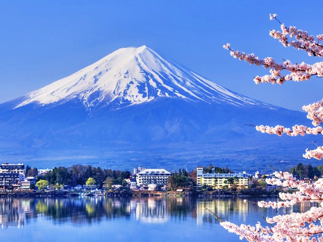 Snowcapped Mt. Fuji with cherry blossoms