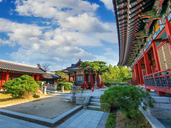 午後出発！龍仁大長今パーク(旧MBCドラミア)ツアー 『明洞餃子』夕食付プランあり ＜半日／日本語ガイド＞