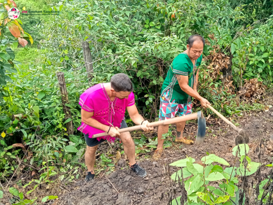 【チェンマイ発】象とふれあうエコツアー ジョイ・エレファント・サンクチュアリ ＜英語ガイド／半日または1日／食事付き／ホテル往復送迎＞