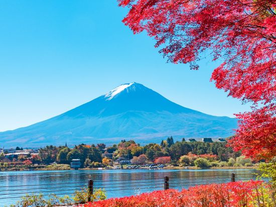 東京発日帰りバスツアー　富士山＋河口湖パノラマロープウェイ＋忍野八海＋抹茶体験 東京の喧騒から離れ、富士山の静かな大自然を巡るコース＜東京・新宿発着＞