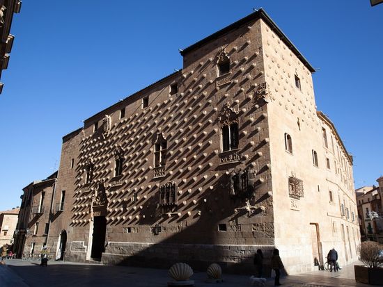 Casa de las Conchas, Salamanca, Spain_pixta_