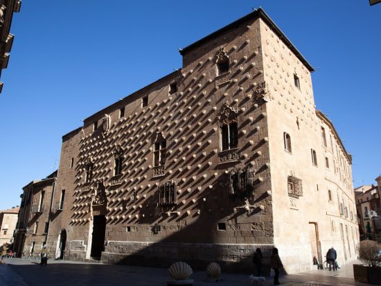 ベテラン公認ガイド ペドロさんと行く！世界遺産の街サラマンカ1日観光ツアー＜貸切／日本語／昼食付／マドリード発＞