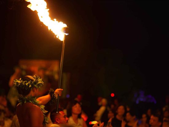 ナーレイ・アロハ・フラショー　ワイキキの中心地で開催の本格ルアウショー！ショーのみまたはビュッフェ・ディナー付きから選べるプラン＜ ハイアットリージェンシー内＞