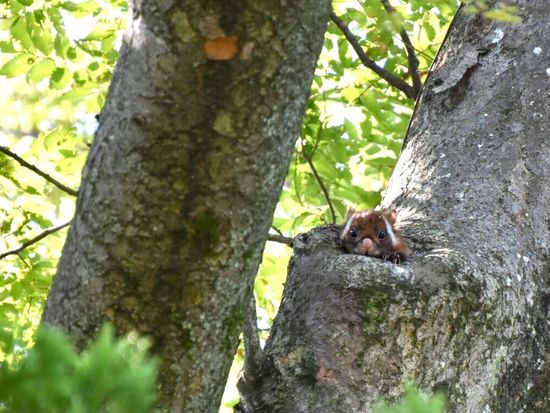 E0E9622C-A119-4236-9D51-7AA99DE782A6