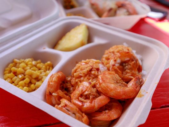 ノースショア（ハレイワ）観光　モアナルアガーデン＋ドールプランテーション＋ハレイワタウン散策　マラサダ＆ガーリックシュリンプ付き！＜1日／日本語ガイド＞