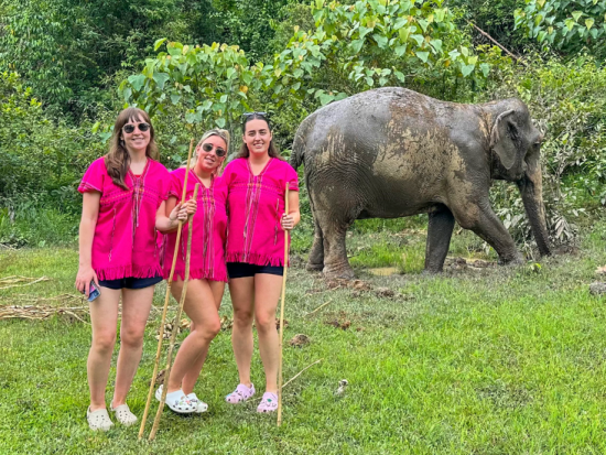 【チェンマイ発】バンブーラフティング＆象とふれあうエコツアー ジョイ・エレファント・サンクチュアリ ＜英語ガイド／1日／昼食付き／ホテル往復送迎＞