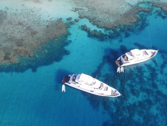 ラス・モハメッド国立公園 シュノーケリングツアー　世界有数のシュノーケリングポイントで海中探索 ＜英語ガイド／シャルム・エル・シェイク発＞