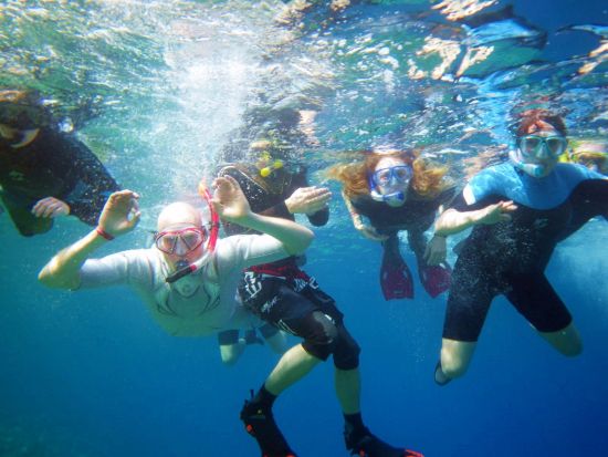 ラス・モハメッド国立公園 シュノーケリングツアー　世界有数のシュノーケリングポイントで海中探索 ＜英語ガイド／シャルム・エル・シェイク発＞