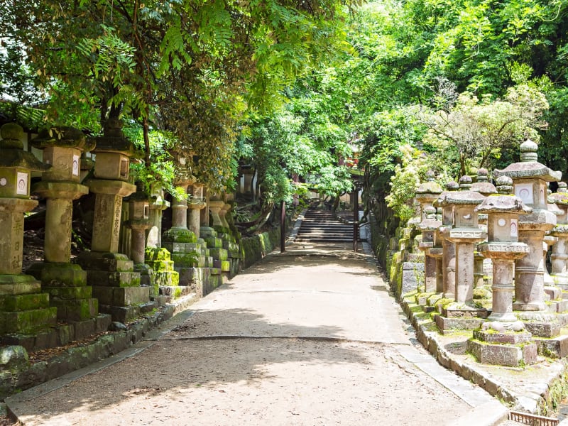 Kasuga Shrine_Stone_Lanterns_shutterstock